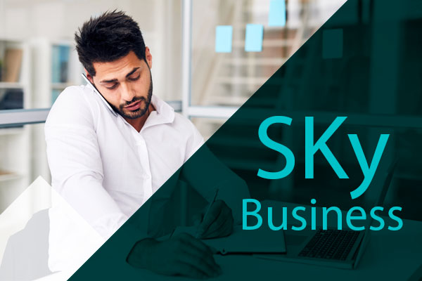Sky Business